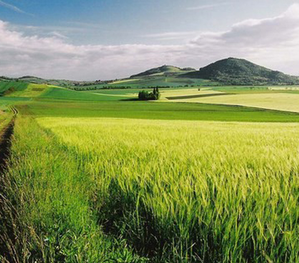 Paysage d'Auvergne