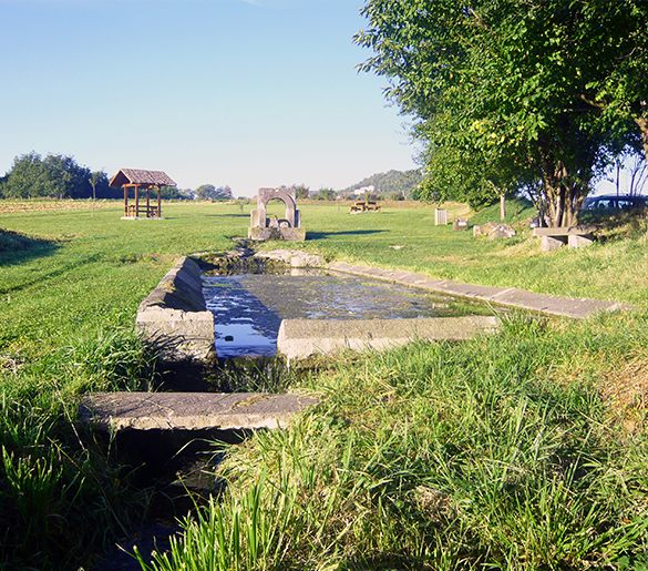 Vélorail des Volcans